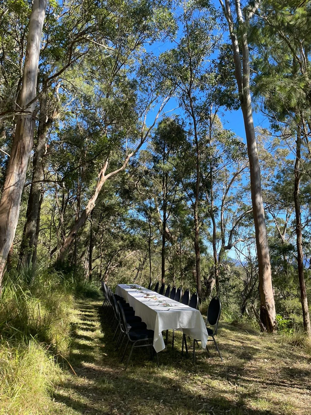 Wild Mountains venue 10